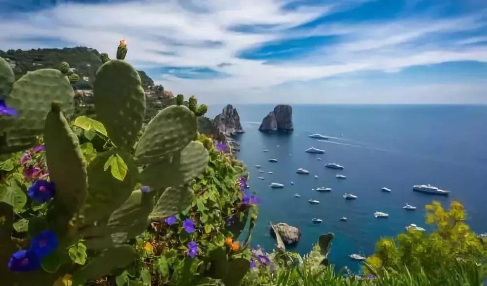 蔬菜产业好光景